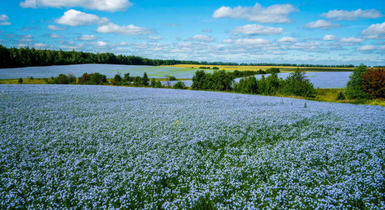 Relations entre agriculteurs et riverains : les outils de dialogue se développent