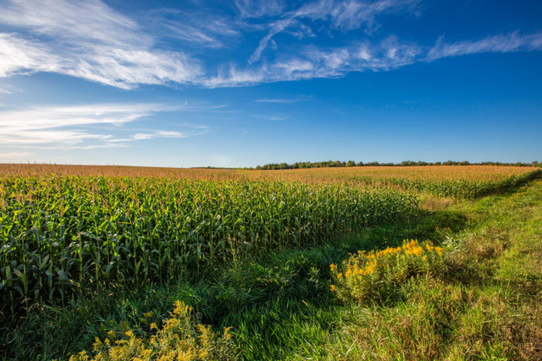 Expertise Inserm « Pesticides et santé » : quels enseignements retenir ?