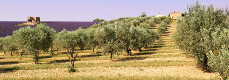 La protection de la santé des agriculteurs progresse