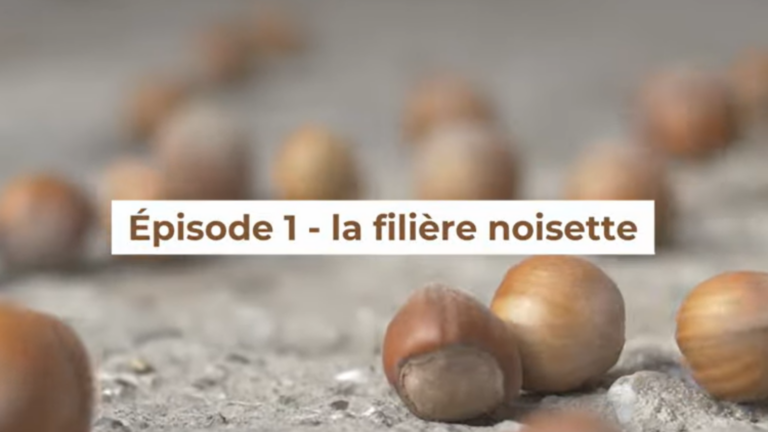 La filière noisette