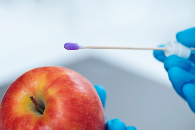 Résidus de pesticides dans les aliments : l’EFSA confirme un faible risque pour les consommateurs