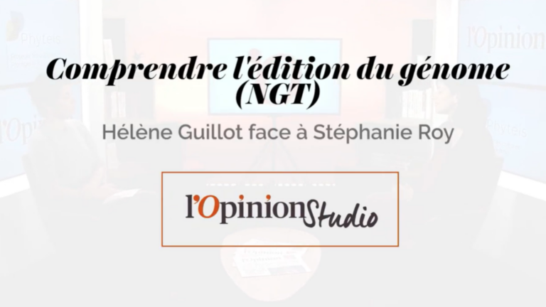 Protection intellectuelle des variétés NGT, un point d’équilibre à trouver !