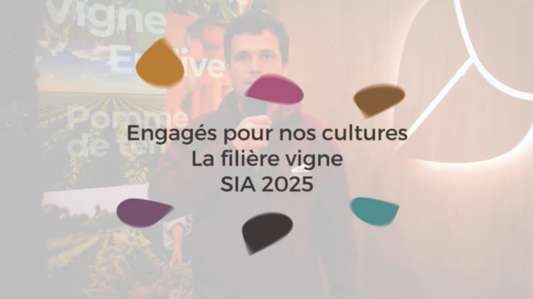 La filière Vigne