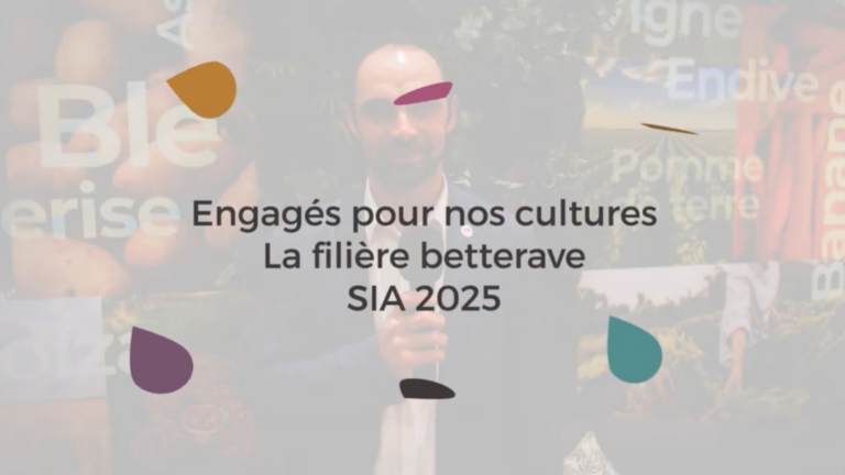 La filière Betterave