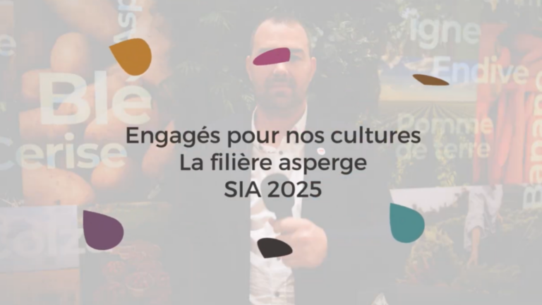 La filière Asperge