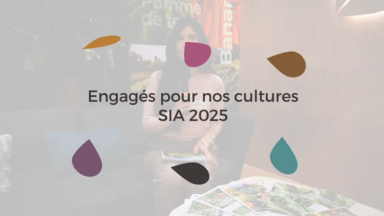 Présentation des 12 fiches Engagés pour nos cultures 2025