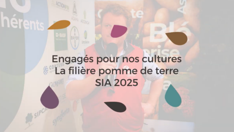 La filière Pomme de terre