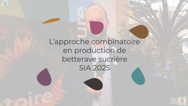 Betterave sucrière : une filière sous pression