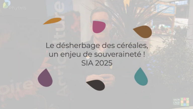 Désherbage des céréales : une impasse inquiétante