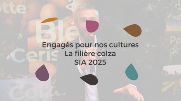 La filière Colza