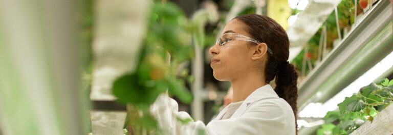 Faire face aux bioagresseurs des cultures : le potentiel des NGT expliqué par deux chercheurs