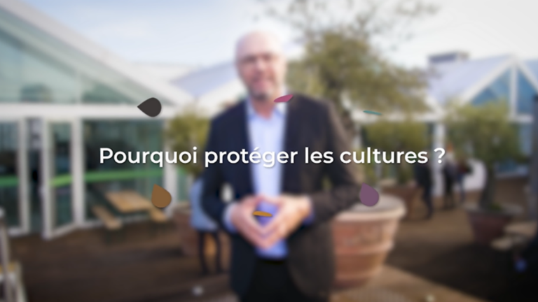 Ronan Vigouroux, Pourquoi protéger les cultures ?