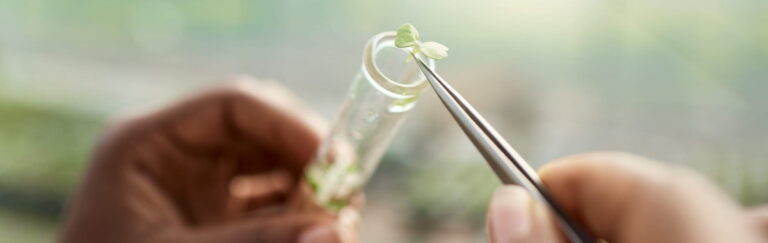 genes-brevetes-varietes-aclp-biotechnologie
