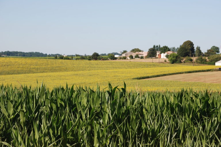 cov-brevet-innovation-creation-varietale-agriculture