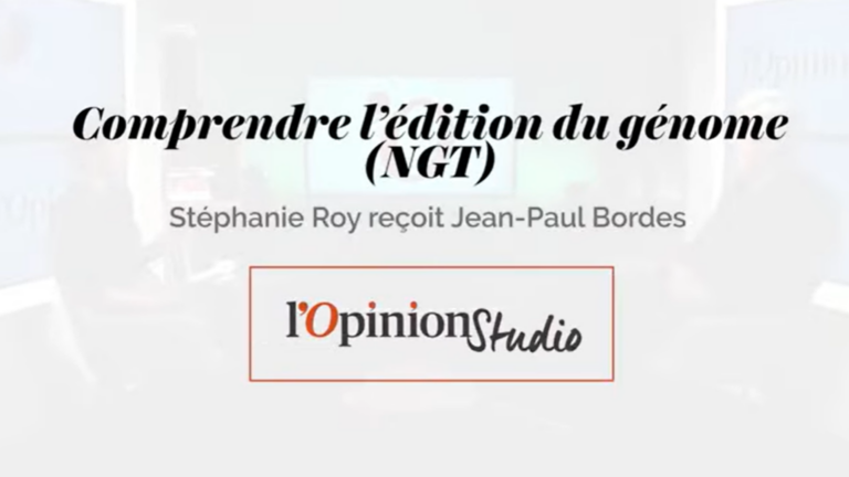 L’effet multi-levier de l’amélioration génétique des plantes