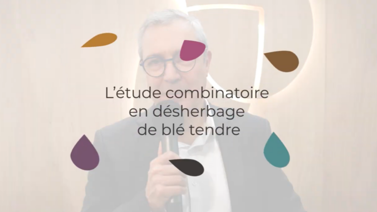 Jean Jacques Pons, le désherbage du blé tendre
