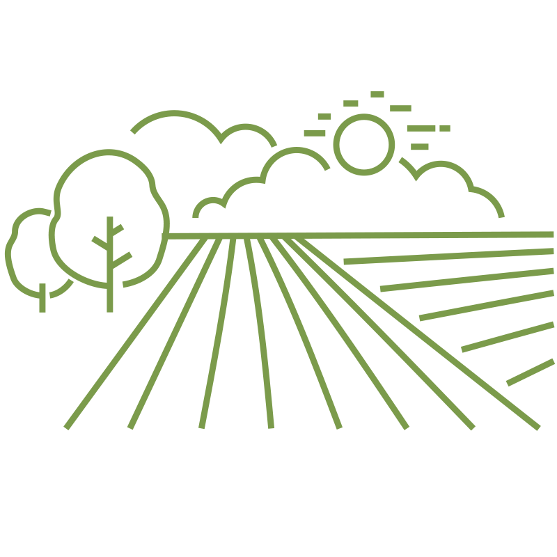 7 300 hectares