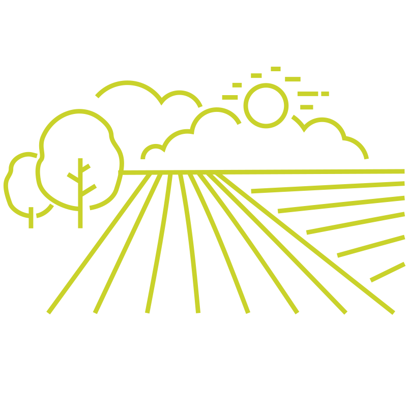 1,293 million d'hectares