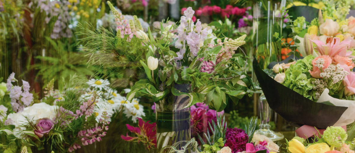 La filière horticulture