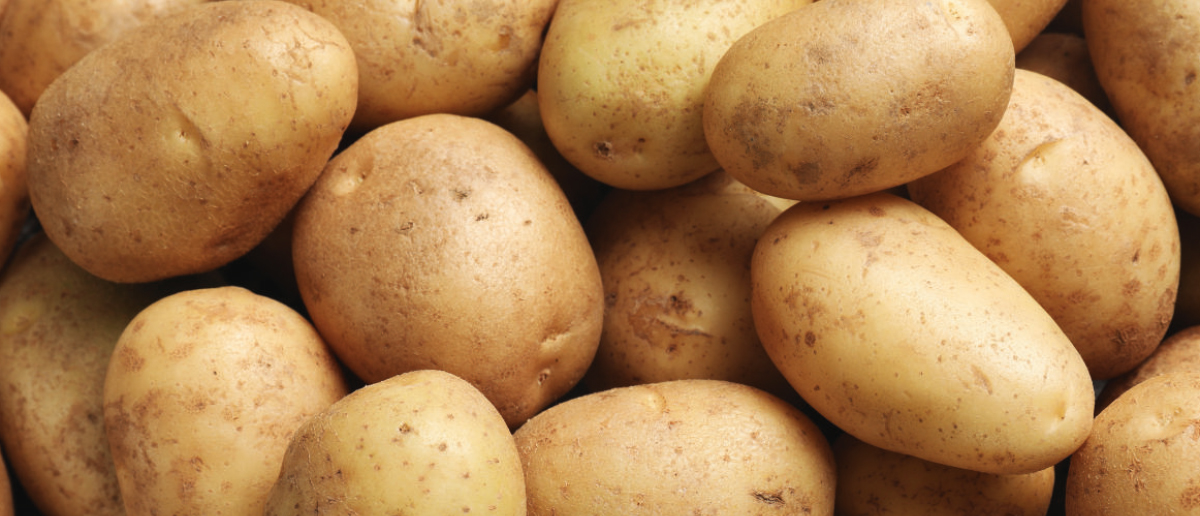 La filière pomme de terre