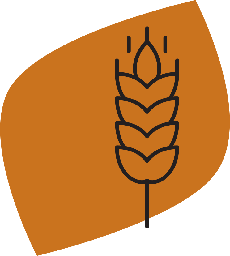 La filière blé