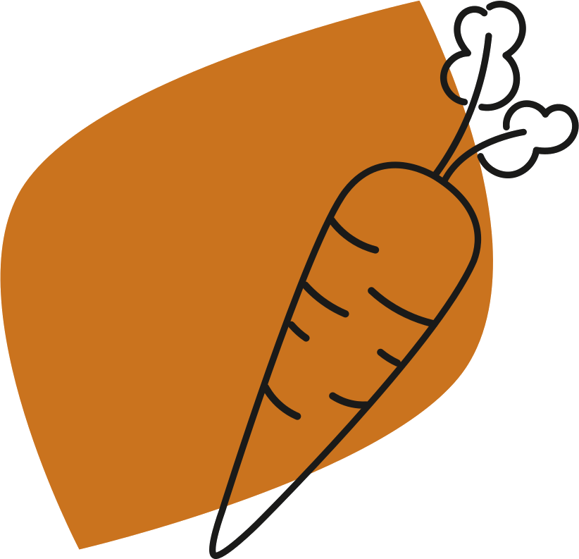 La filière carotte