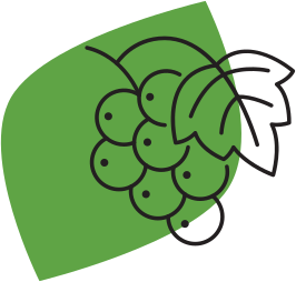 La filière vigne