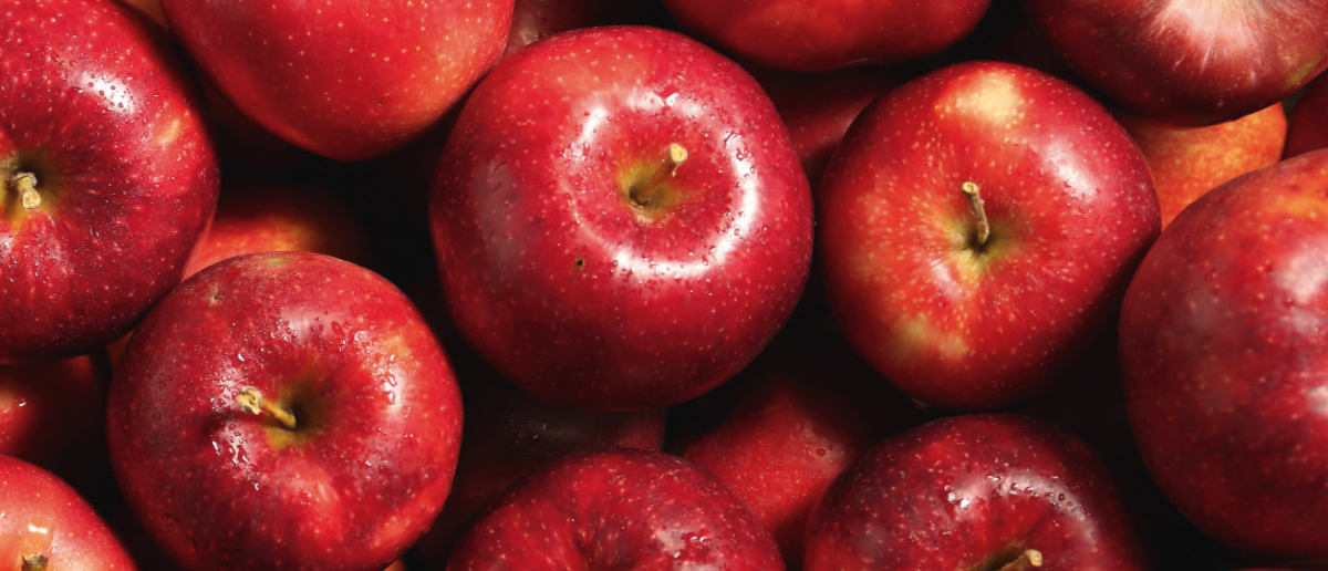 La filière pomme