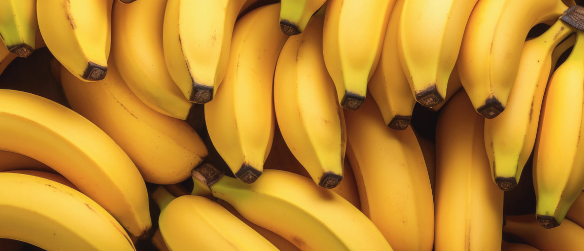 La filière banane