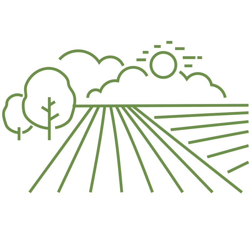 411 770 hectares