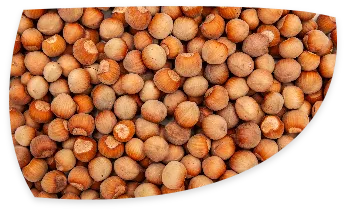 La filière noisette