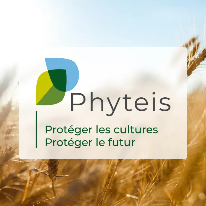 Phyteis website preview
