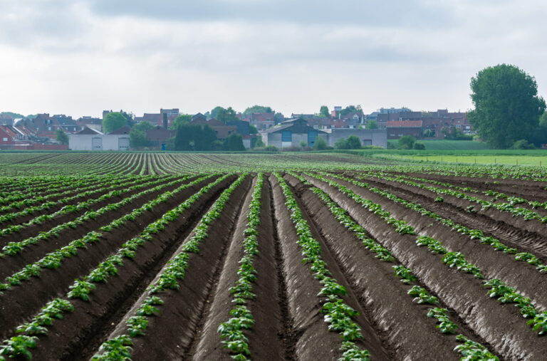 biosolutions-racine-bio-proteger-cultures-agriculture