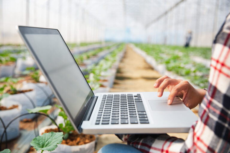 Registre phytosanitaire numérique obligatoire : l’Europe reporte l’échéance mais maintient les exigences