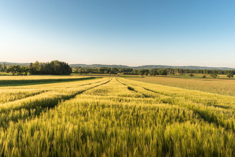 plantes-microbiote-genome
