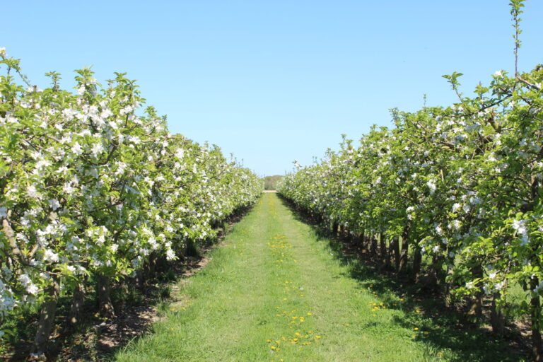 fongicides-mineraux-biocontrole-bio-resistance
