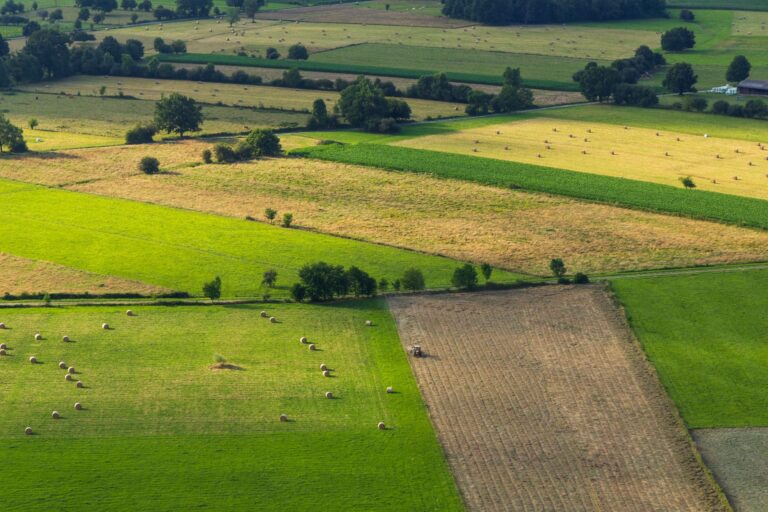 agriguide-protection-culture-etiquetage