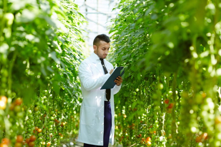 Les NGT : un accélérateur d&rsquo;innovation