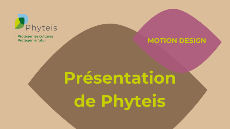 Présentation de Phyteis
