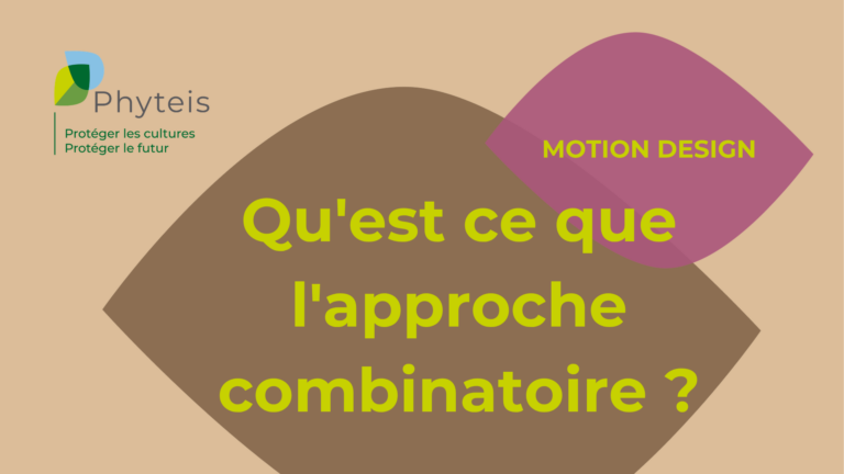 Qu'est ce que l'approche combinatoire ?