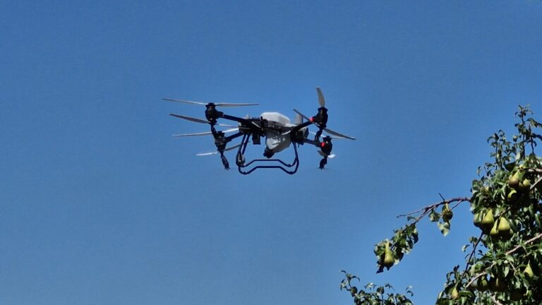 Drone pulvérisateur : une autre façon de traiter les vergers avec plus de précision