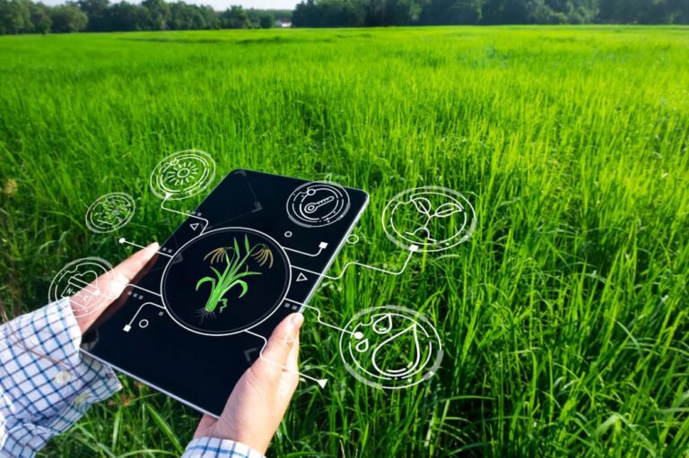 Agronomie digitale : un hectare sur sept est désormais piloté par des outils numériques