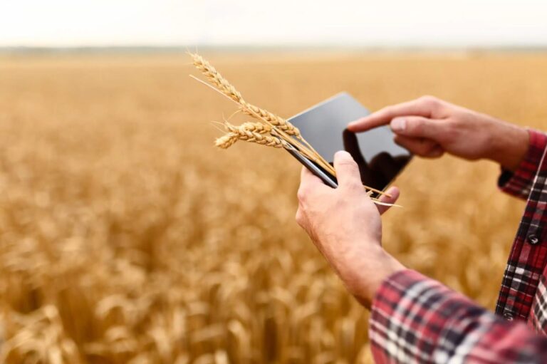 Quel est le rôle de l’agronomie digitale dans la protection des cultures ?