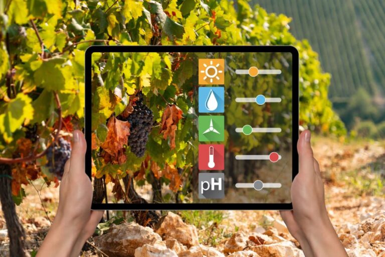 Enquête : 280 agriculteurs évaluent l’utilité du numérique pour protéger les cultures