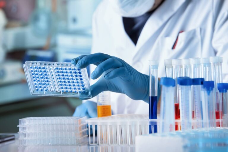Fongicides SDHI : l’Anses confirme l’absence de risque pour la santé humaine