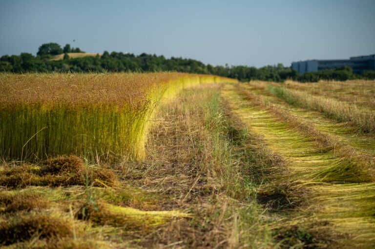 Une publication inédite compile 48 études réglementaires sur les EPI et les risques phytopharmaceutiques