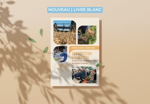 Livre blanc