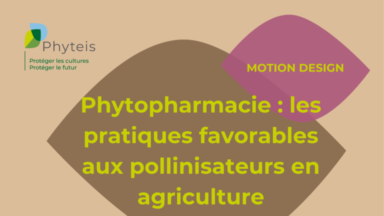 Phytopharmacie : les pratiques favorables aux pollinisateurs en agriculture