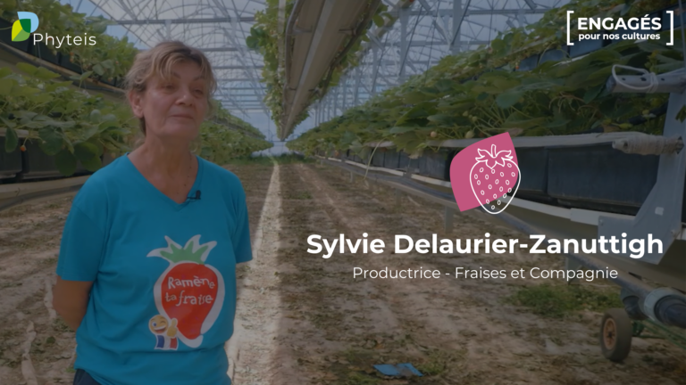 La filière Fraise