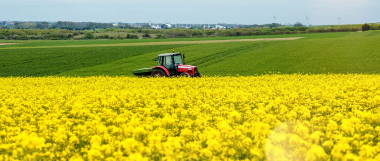 Rés0Pest (Episode 5) : que retenir de dix ans de production sans pesticides ?